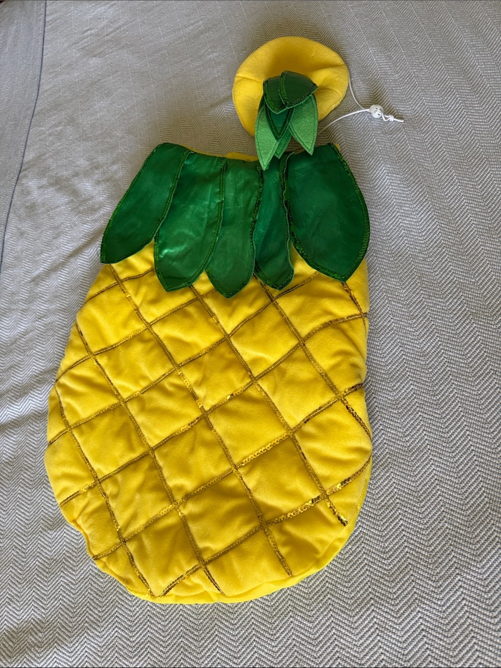 XL Skull & Bones Pet Halloween Costume